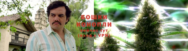 дмт Арсеньев
