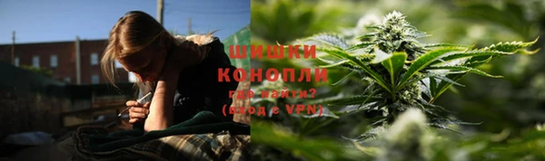 дмт Арсеньев