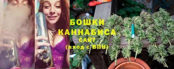 дмт Арсеньев