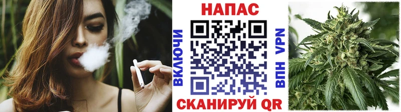 Шишки марихуана конопля  Купить  Мглин 